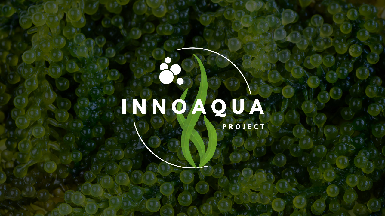 Innoaqua - Project Kickoff