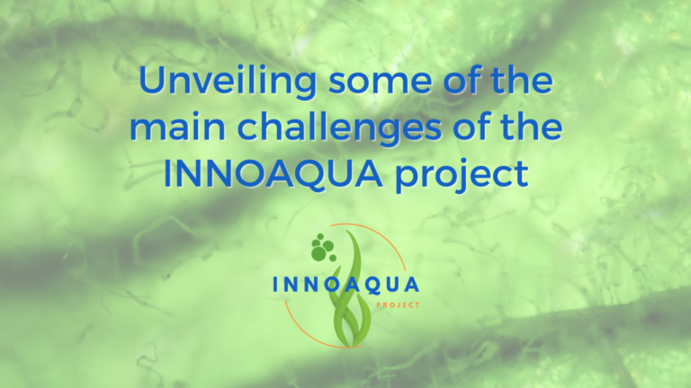 Innoaqua Project Challenges
