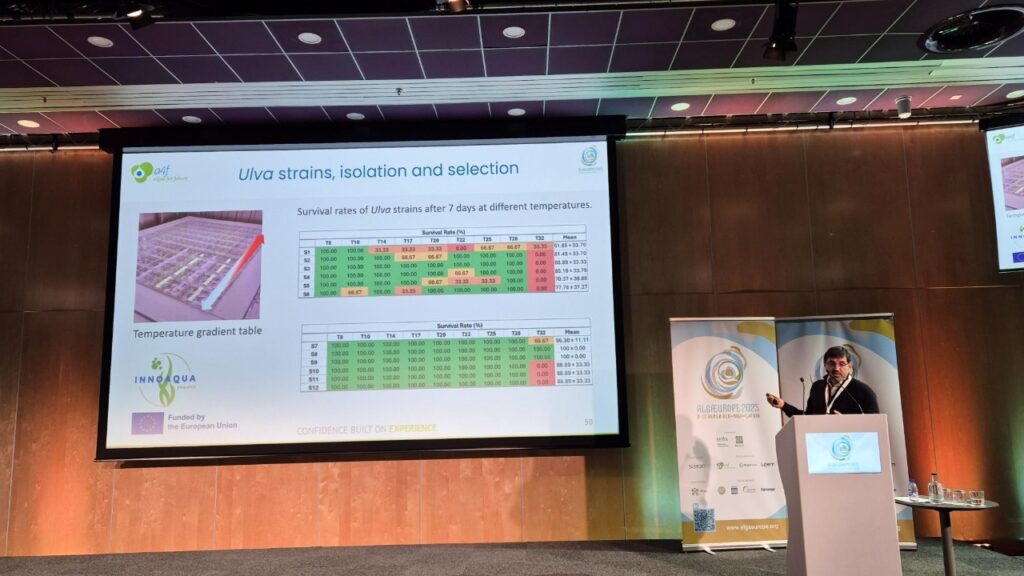 Innoaqua - AlgaeEurope 2025