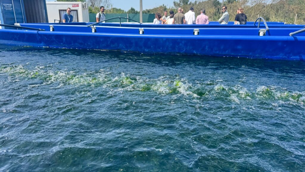 Innoaqua - Workshop Seaweed and Fish IMTA - Sustainable Aquaculture