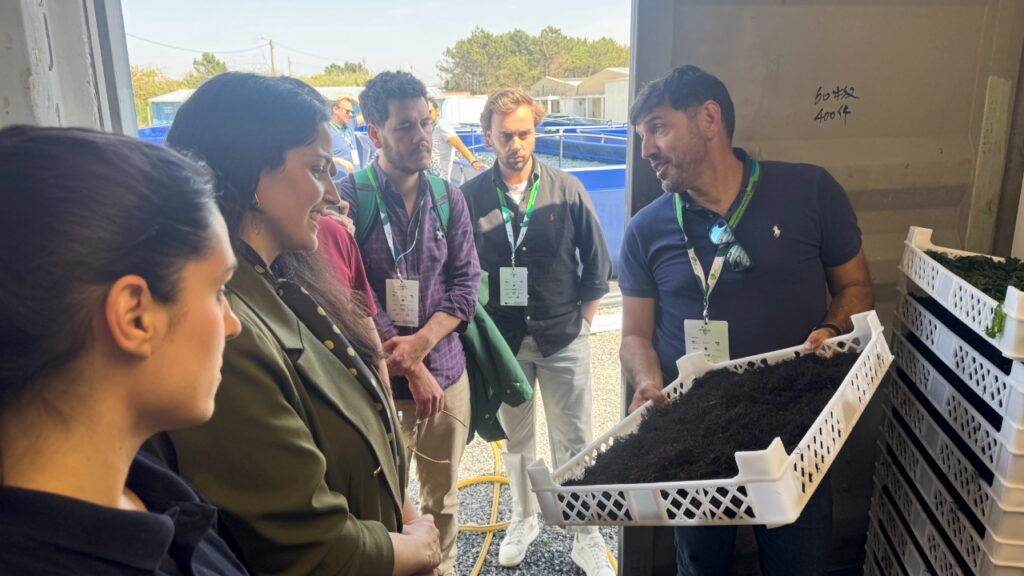 Innoaqua - Workshop Seaweed and Fish IMTA - Sustainable Aquaculture