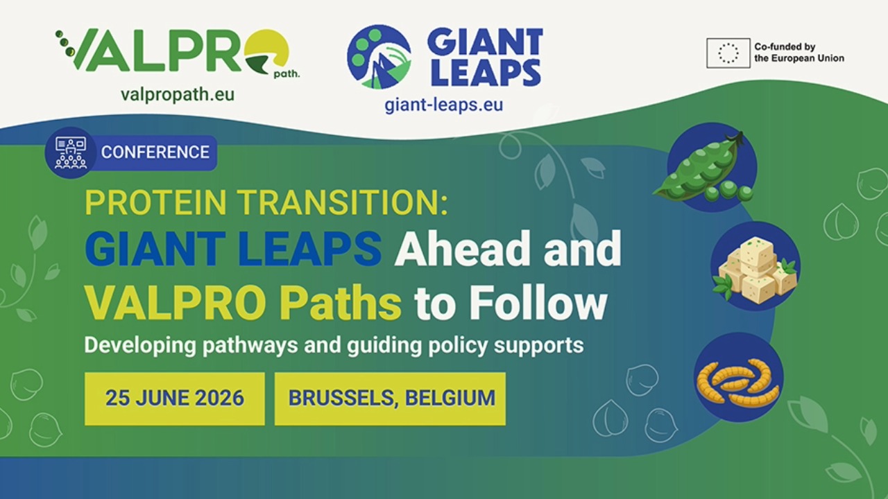 Giant Leaps - Valpro Path Final Conference