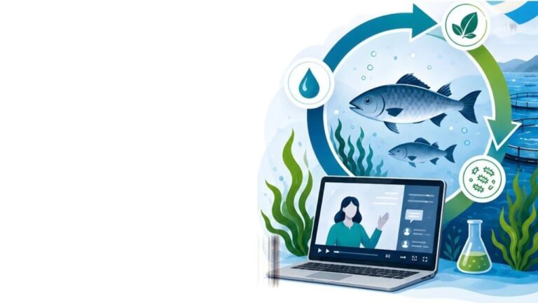 Innoaqua - Safe–Aware–Innoaqua - Summer School 2026